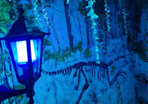 Frozen in Time, Again! - Activities Leeds 1