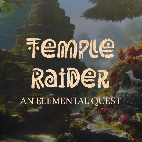 Temple Raider: An Elemental Quest - Activities Gateshead 1